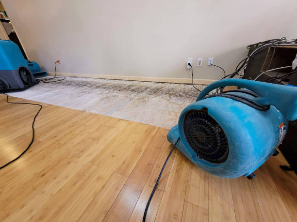 Professional Water Extraction technician working in Castaic, CA